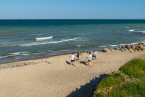Feld, Strand, Ostsee